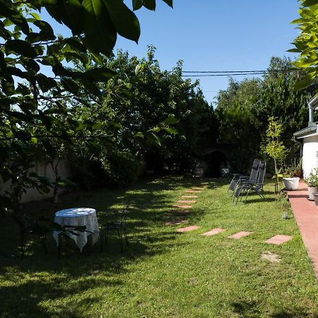 Apartman Dvoristance Golubac Buitenkant foto